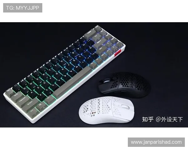 欧博网站怎么样知乎：网站界面设计与操作便捷性评测